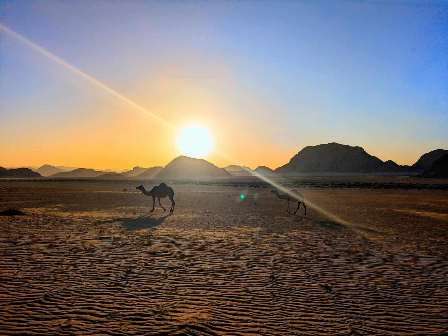 Shahrazad desert, Wadi Rum Exterior foto